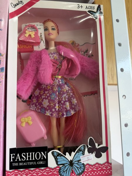 Fashion the beautiful girl